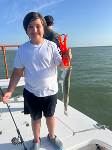 Deep sea jigging pays off with a sleek Spotted Weakfish off South Padre Island!