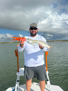 Huge Spotted Weakfish reeled in during a crystal-clear day!