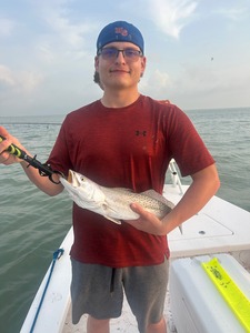 Hooked a feisty spotted weakfish while deep sea jigging in South Padre Island!