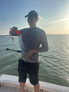 Deep sea jigging success: Spotted Weakfish hooked in South Padre Island!