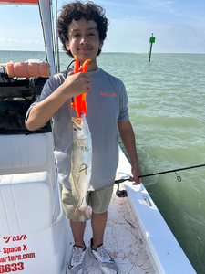 Deep sea jigging pays off with a sweet Spotted Weakfish catch!