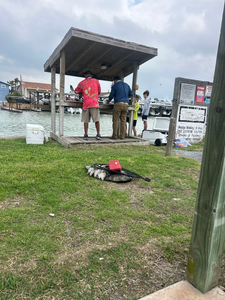 A tranquil day by the lake, tackle and all.