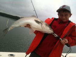 A fat one!