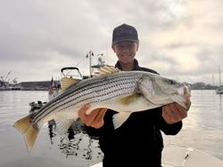 Fish-Species