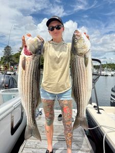 Two striped bass caught fishing in Portsmouth NH displayed on boat deck