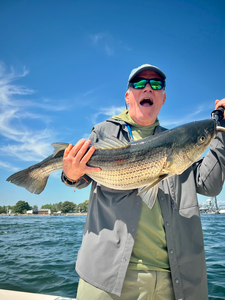 Big catch from Portsmouth waters using light tackle!