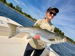 Striped bass caught while fishing in Portsmouth NH waters