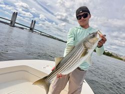 Striped bass caught while fishing in Portsmouth NH waters near bridge