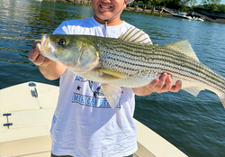 Beautiful striped bass caught in Portsmouth waters!
