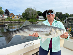 Beautiful Portsmouth striped bass caught on light tackle!