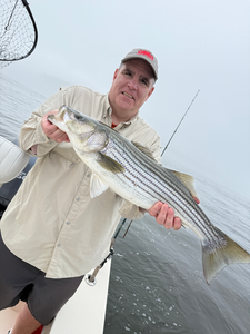 Striped bass caught at the picturesque Portsmouth Marina on a partly cloudy day.