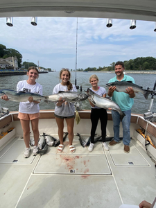 Three big fish caught during a fishing trip in Muskegon