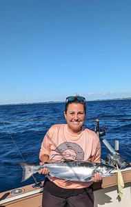 Chinook salmon caught while fishing in MI