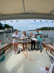 Two chinook salmon caught by four people fishing in Muskegon