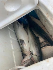 A scenic view of Muskegon, Michigan during a fishing trip.