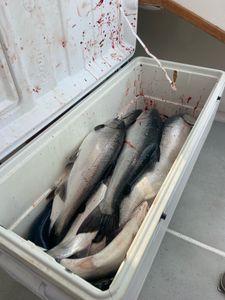 A fishing trip in Michigan