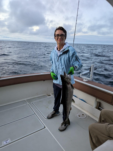 Angler holding a great barracuda fish in MI