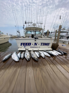 Two fish caught in Muskegon while fishing