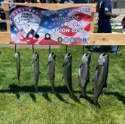 6 rainbow trout caught while fishing in MI