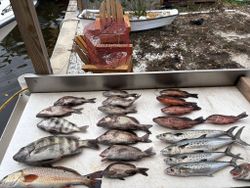 Making the most of every tide in Tampa Bay.