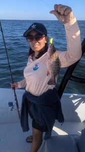 Fishing in Florida, SEO-friendly image