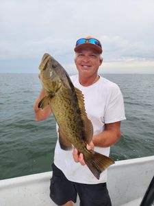 A gag grouper fish caught in FL