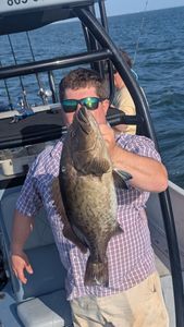 Gag grouper caught while fishing in Ruskin