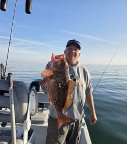 Red grouper catch on fishing boat in Ruskin FL waters