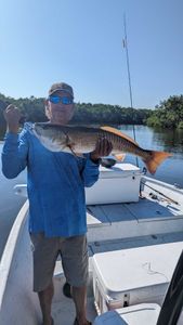 Redfish caught in FL