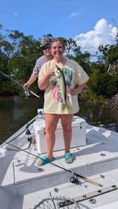 Snook fishing in FL