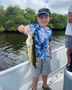 Snook fish caught in FL