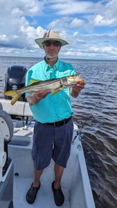 Snook fishing in Florida