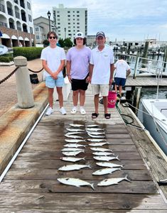 Experience coastal fishing in Morehead City.