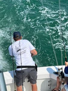 Angler fishing in North Carolina