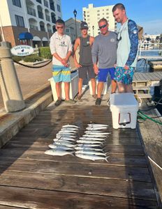 Two Spanish Mackerel, 21 inches long, caught in Morehead City