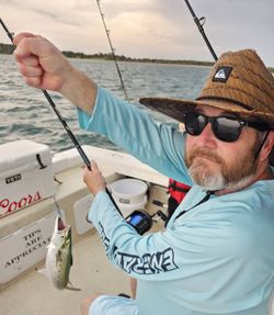Spanish mackerel caught while fishing in Morehead City NC