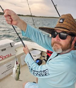 Spanish Mackerel caught while fishing in Morehead City
