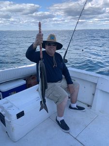 Cobia fish caught while fishing in FL
