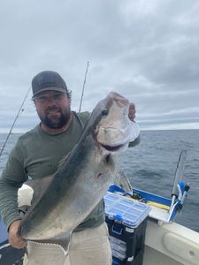 Fisherman reeling in a 21-inch catch in FL