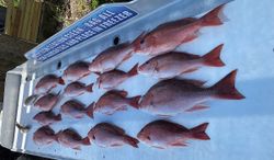 Snapper fishing in Destin Florida