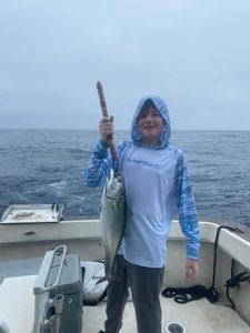 Exciting catch of a little tunny fish in FL