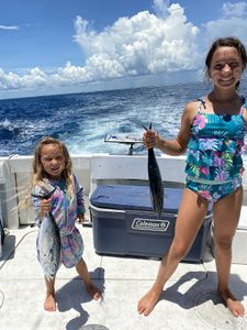 Top Florida's deep sea fishing charters