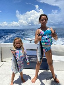 Two little tunny fish caught in Shalimar