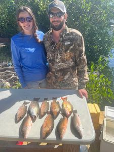 Grey Snapper Fishing 2023