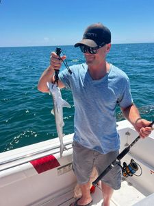 Catch of the day: Atlantic Sharpnose Shark, 17 inches, in FL