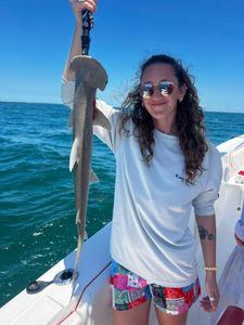 Dusky Smooth-Hound fish caught at Little Torch Key