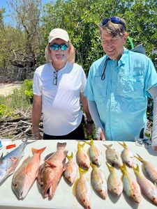 7 fish caught while fishing in FL