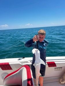 A lone fisherman reeling in a catch in Florida