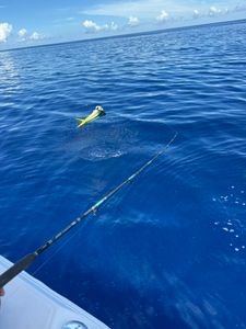 Fishing with tackle in Florida