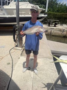 Angler displaying caught fish at marina dock in Little Torch Key FL